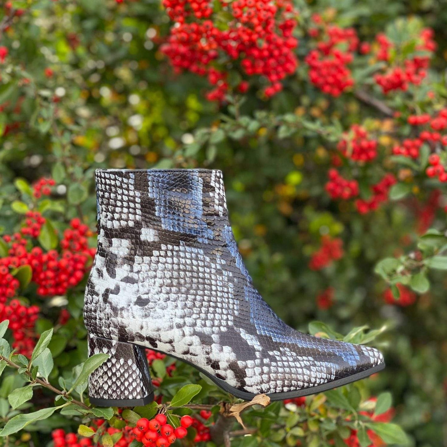 Block heel ankle boots in snake leather